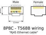 Revo Camera Wiring Diagram Rj12 Wiring Diagram Wiring Diagram Database