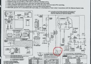 Rheem Criterion Ii Gas Furnace Wiring Diagram Rheem Gas Heater Wiring Diagram Wiring Diagrams Bib