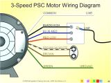 Rheem Fan Motor Wiring Diagram Rheem Blower Motor Wiring Wiring Diagram Technic