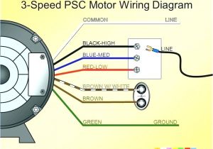 Rheem Fan Motor Wiring Diagram Rheem Blower Motor Wiring Wiring Diagram Technic Rheem Fan Motor Wiring Diagram Rheem Blower Motor Wiring Wiring Diagram Technic
