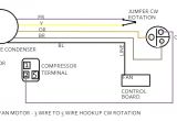 Rheem Fan Motor Wiring Diagram Rheem Blower Motor Wiring Wiring Diagram Technic
