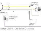 Rheem Fan Motor Wiring Diagram Rheem Blower Motor Wiring Wiring Diagram Technic
