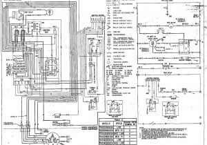Rheem Fan Motor Wiring Diagram Rheem Hvac Wiring Diagrams Wiring Diagram