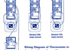 Rheem Hot Water Heater Wiring Diagram Ruud Hot Water Heater Wiring Diagram Wiring Diagram Technic