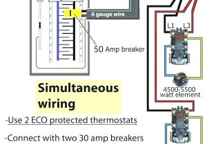 Rheem Hot Water Heater Wiring Diagram Ruud Hot Water Wiring Diagram Wiring Diagram Inside