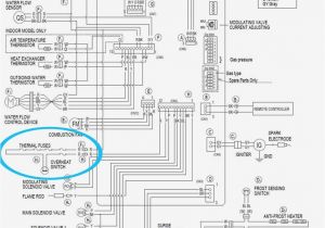 Rheem Water Heater Wiring Diagram Rheem Water Heater Wiring Diagram Wiring Diagram Database Rheem Water Heater Wiring Diagram Rheem Water Heater Wiring Diagram Wiring Diagram Database