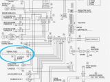 Richmond Electric Water Heater Wiring Diagram Eccotemp Tankless Water Heater Wiring Diagram Wiring Diagram Database