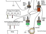 Rickenbacker 330 Wiring Diagram Rickenbacker 4003 Wiring Diagram Rickenbacker Pickup Wiring Wiring