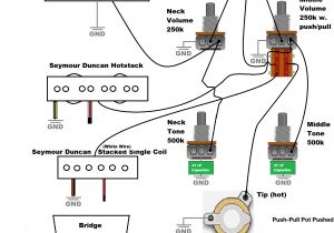 Rickenbacker 330 Wiring Diagram Rickenbacker 4003 Wiring Diagram Rickenbacker Pickup Wiring Wiring