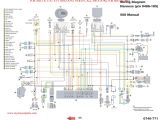 Ricky Stator Wiring Diagram Trx 250r Wiring Schematic Wiring Diagram Go