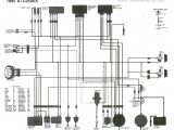 Ricky Stator Wiring Diagram Trx 250r Wiring Schematic Wiring Diagram Go