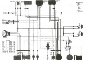 Ricky Stator Wiring Diagram Trx 250r Wiring Schematic Wiring Diagram Go Ricky Stator Wiring Diagram Trx 250r Wiring Schematic Wiring Diagram Go