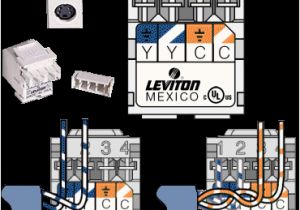 Rj11 Wall Plate Wiring Diagram Rca Rj45 Jack Wiring Wiring Diagram Technic