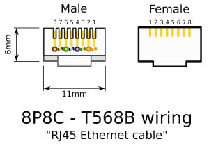 Rj12 socket Wiring Diagram Rj11 Connector Wiring Diagram Centurylink Wiring Diagram Centre