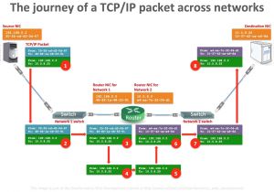 Rj12 Wiring Diagram Twin Pair Rj11 Wiring Diagram Electrical Wiring Diagram