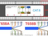 Rj45 Cat 6 Wiring Diagram 17 Nice Cat 6 Wiring Diagram Wall Plates Australia Images tone Tastic