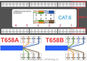 Rj45 Cat 6 Wiring Diagram 17 Nice Cat 6 Wiring Diagram Wall Plates Australia Images tone Tastic Rj45 Cat 6 Wiring Diagram 17 Nice Cat 6 Wiring Diagram Wall Plates Australia Images tone Tastic