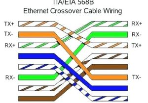 Rj45 Crossover Cable Wiring Diagram Network Cable Wiring Diagrams Crossover Cable with and In Each the