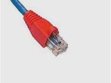 Rj45 Ethernet Cable Wiring Diagram Ethernet Cable Connector Platinum tools R Bg Rj45 Boot 6 5 Mm Max Od
