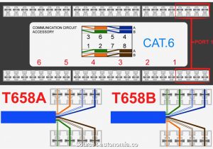 Rj45 Splitter Wiring Diagram Cat 6 Wiring Diagram Wall Plates Australia Cleaver Diagram Rj45 Splitter Wiring Diagram Cat 6 Wiring Diagram Wall Plates Australia Cleaver Diagram