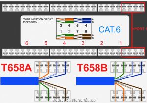 Rj45 Splitter Wiring Diagram Cat 6 Wiring Diagram Wall Plates Australia Cleaver Diagram