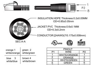 Rj45 Splitter Wiring Diagram Cat5 Wall Plate Wiring Diagram Adanaliyiz org Rj45 Splitter Wiring Diagram Cat5 Wall Plate Wiring Diagram Adanaliyiz org