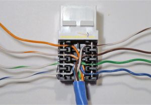 Rj45 Surface Mount Jack Wiring Diagram Rca Rj45 Jack Wiring Wiring Diagram Blog