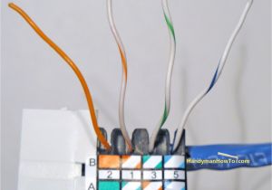 Rj45 Surface Mount Jack Wiring Diagram Rca Wall Plate Rj45 Wiring Diagram Wiring Diagram Center