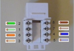 Rj45 Wall Jack Wiring Diagram Wall Jack Wiring Cat 6 Data Schematic Diagram