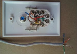 Rj45 Wall Plate Wiring Diagram Ethernet to Rca Wiring Diagram Wiring Diagram Features
