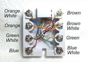 Rj45 Wall Plate Wiring Diagram Rca Rj45 Jack Wiring Wiring Diagram Meta