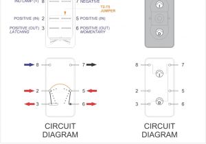 Rocker Switch Wiring Diagram 8 Pin Switch Wiring Diagram Schematic Diagram Database