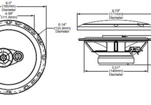 Rockford Fosgate Punch 45 Wiring Diagram Amazon Com Rockford Fosgate R165x3 Prime 6 5 Full Range 3 Way