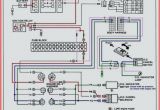 Rockford Fosgate Wiring Diagram Fosgate Wiring Wizard Book Diagram Schema