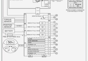 Rotork Iq3 Wiring Diagram Rotork Wiring Diagram 3100 Auto Electrical Wiring Diagram