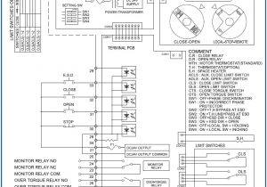 Rotork Valve Actuator Wiring Diagram Wrg 7159 Limitorque Mx Wiring Diagram 20