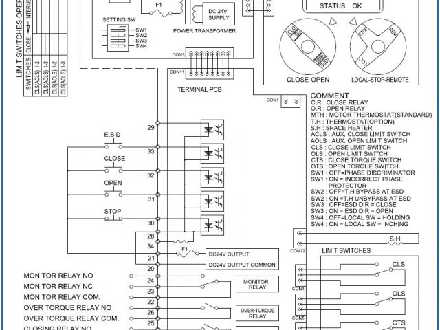 Rotork Valve Actuator Wiring Diagram Wrg 7159 Limitorque Mx Wiring