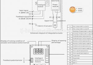 Rotork Wiring Diagram Wiring Diagram for Actuator Wiring Diagram Center Rotork Wiring Diagram Wiring Diagram for Actuator Wiring Diagram Center