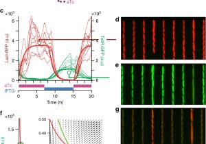 Round Rocker Switch Wiring Diagram Balancing A Genetic toggle Switch by Real Time Feedback