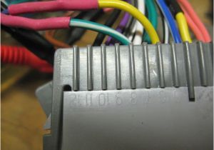 Rp3 Gm11 Wiring Diagram Pac Rp5 Gm11 Corvetteforum Chevrolet Corvette forum Discussion Rp3 Gm11 Wiring Diagram Pac Rp5 Gm11 Corvetteforum Chevrolet Corvette forum Discussion