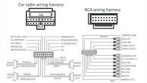 Rsx Radio Wiring Diagram Amp Wiring Harness Camaro Wiring Diagram Center