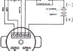 Rtd Transmitter Wiring Diagram Rtds Elements and Rtd Probes