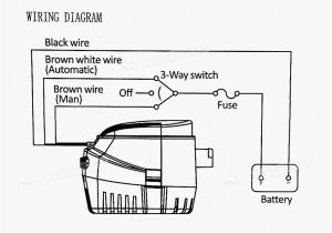 Rule A Matic Float Switch Wiring Diagram 3 Float Switch Wiring Diagram Wiring Library
