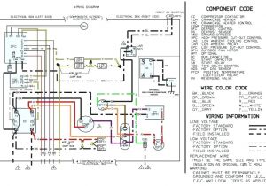 Run Capacitor Wiring Diagram Rheem Ac Contactor Wiring Wiring Diagram New