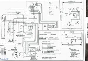 Ruud Air Handler Wiring Diagram Ruud Wiring Diagrams Wiring Diagram