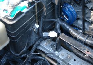 Rx8 Power Steering Wiring Diagram Diy Power Steering Connector Cleaning with Pics Rx8club Com