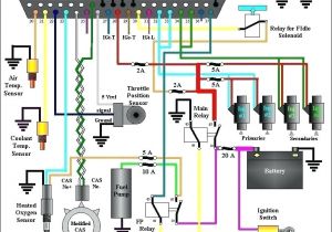 Rx8 Wiring Harness Diagram Mazda Rx 8 Wiring Diagram Wiring Free Wiring Diagram for You Rx8 Wiring Harness Diagram Mazda Rx 8 Wiring Diagram Wiring Free Wiring Diagram for You