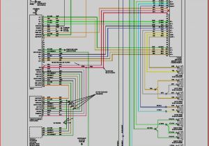 S10 Radio Wiring Diagram S10 Wiring Diagram Ecourbano Server Info
