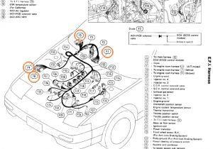 S13 Ka24de Wiring Harness Diagram S13 Wire Diagram Wiring Diagram