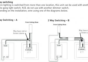 Salzer Rotary Switch Wiring Diagram Dayton Hoist Wiring Diagram or Drum Switch Wiring Diagram Square D Salzer Rotary Switch Wiring Diagram Dayton Hoist Wiring Diagram or Drum Switch Wiring Diagram Square D